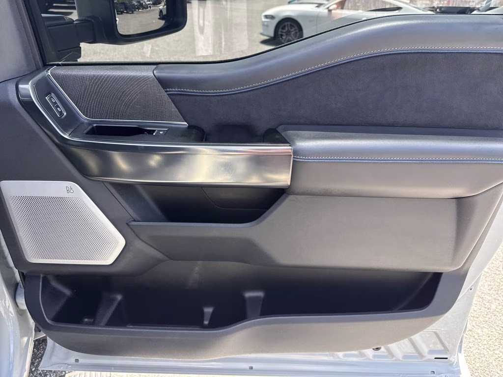 2025 Avalanche Ford Super Duty F-250 SRW Platinum 4X4 Truck