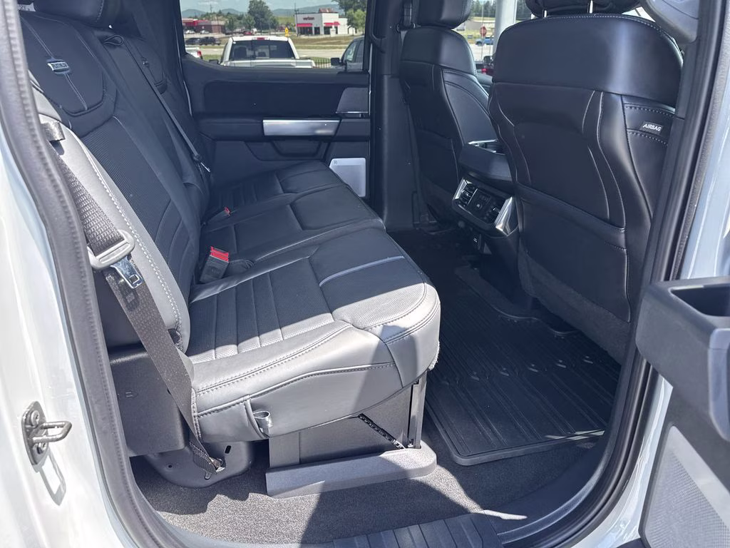 2025 Avalanche Ford Super Duty F-250 SRW Platinum 4X4 Truck