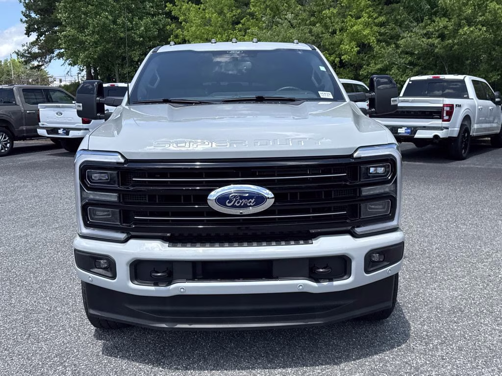 2025 Avalanche Ford Super Duty F-250 SRW Platinum 4X4 Truck