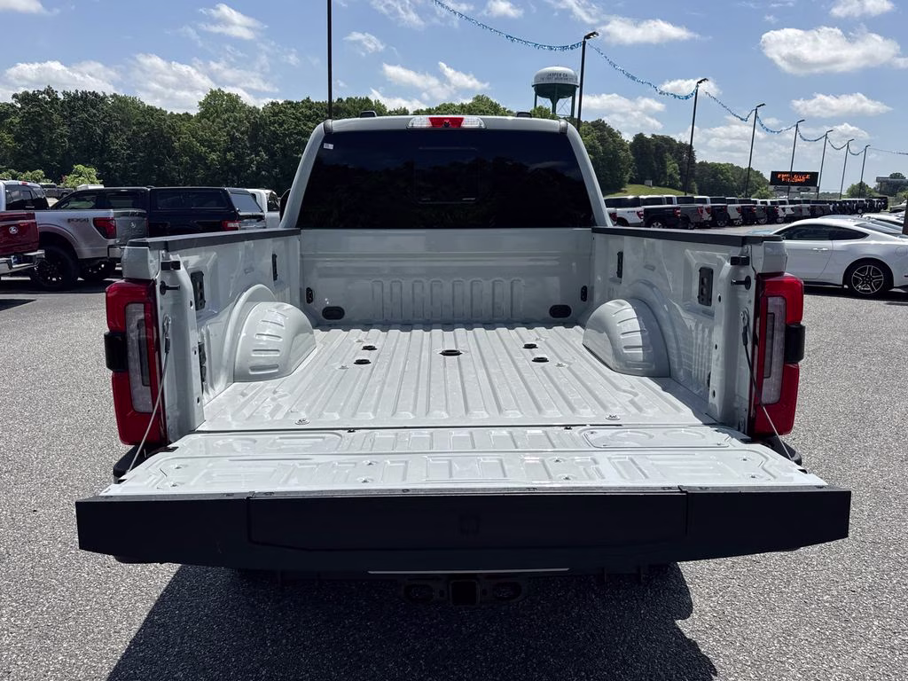 2025 Avalanche Ford Super Duty F-250 SRW Platinum 4X4 Truck