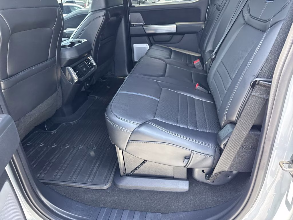 2025 Avalanche Ford Super Duty F-250 SRW Platinum 4X4 Truck