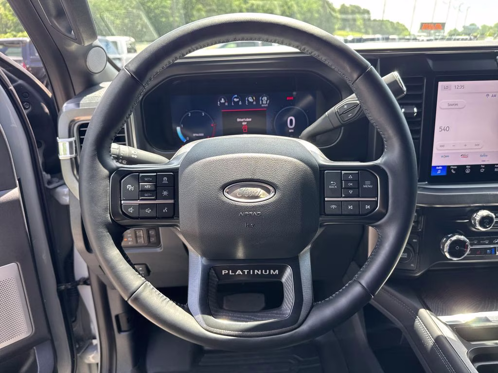 2025 Avalanche Ford Super Duty F-250 SRW Platinum 4X4 Truck