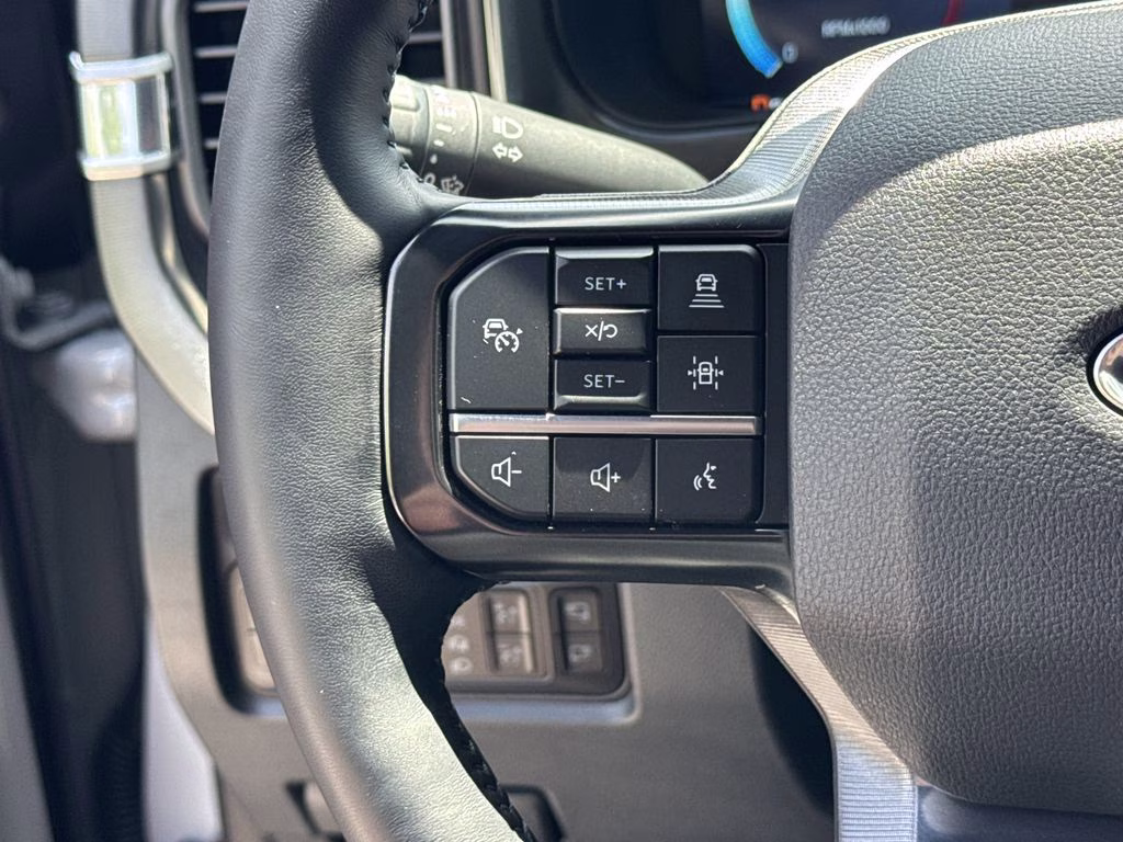 2025 Avalanche Ford Super Duty F-250 SRW Platinum 4X4 Truck