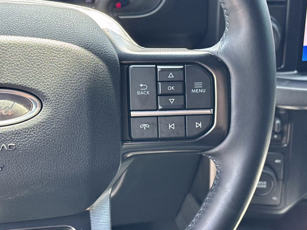 2025 Avalanche Ford Super Duty F-250 SRW Platinum 4X4 Truck