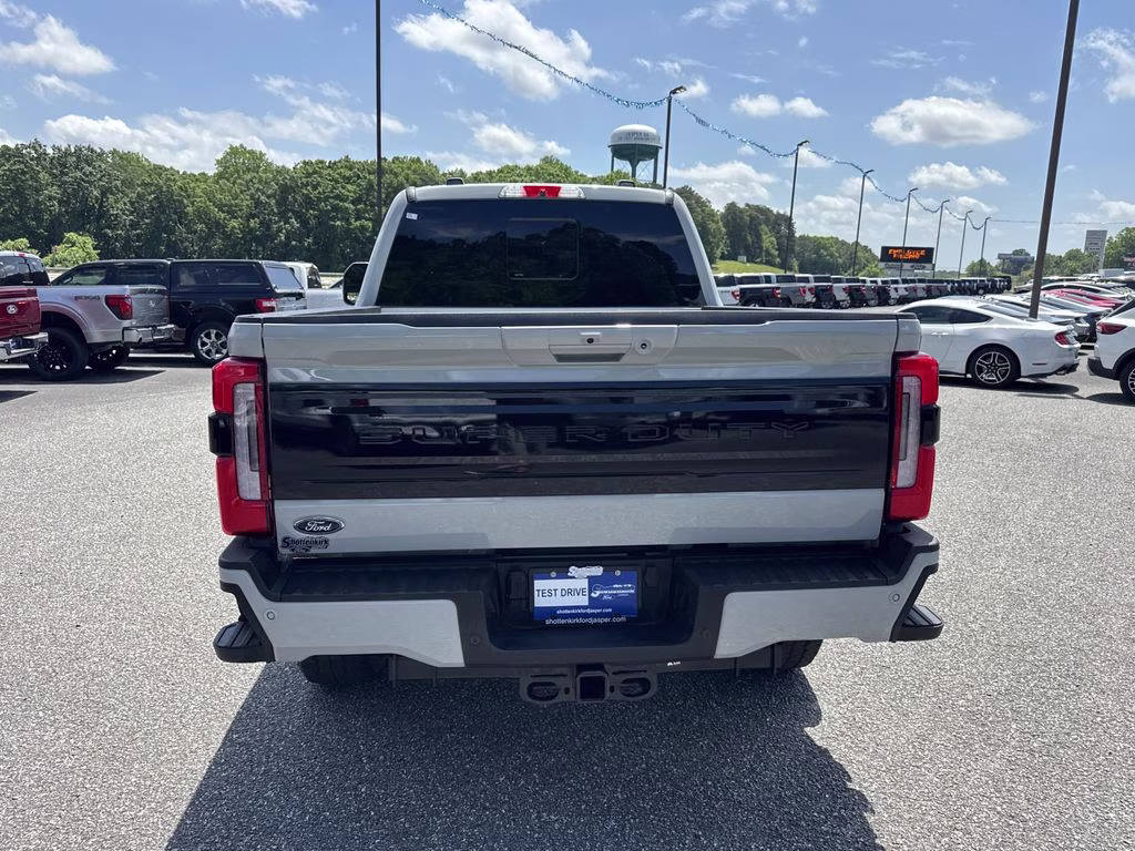 2025 Avalanche Ford Super Duty F-250 SRW Platinum 4X4 Truck