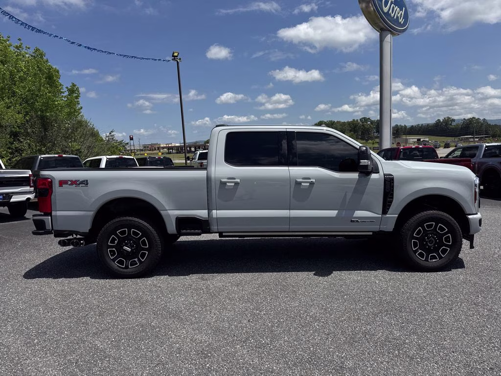 2025 Avalanche Ford Super Duty F-250 SRW Platinum 4X4 Truck