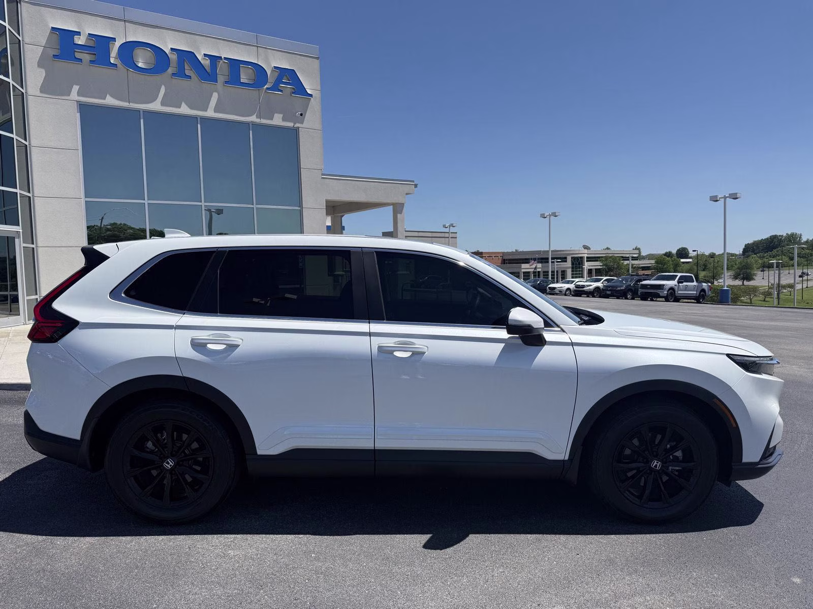 2024 Platinum White Pearl Honda CR-V EX-L FWD SUV