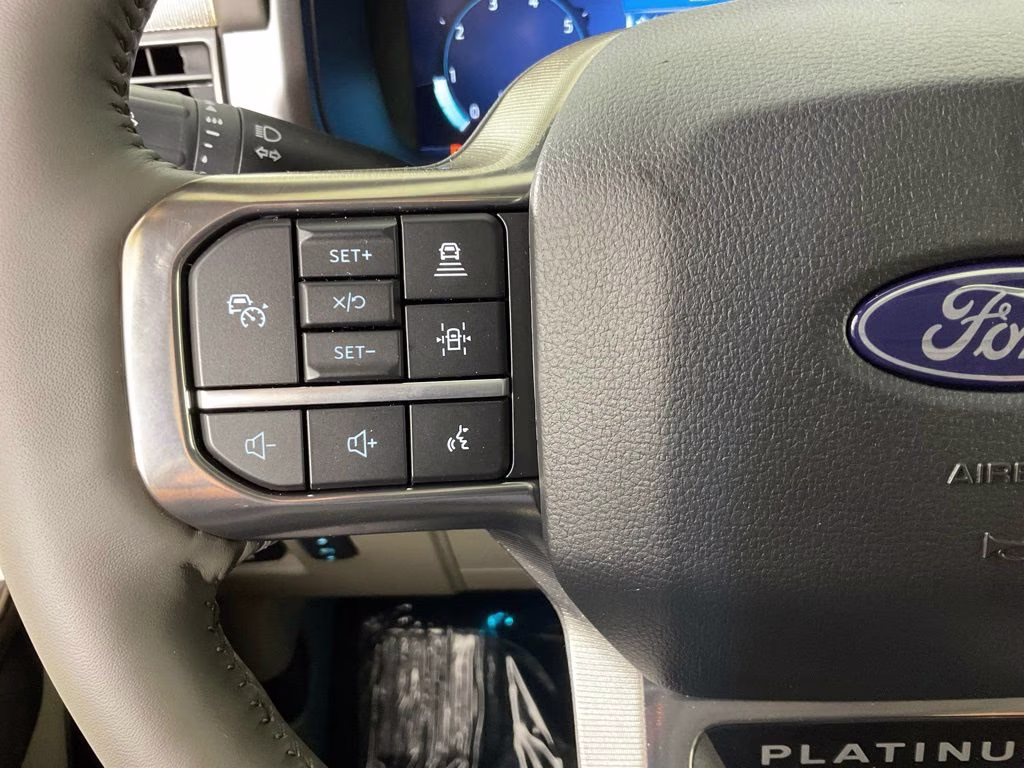 2026 Black Ford F-150 Platinum 4X4 Truck