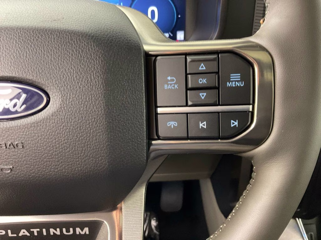 2026 Black Ford F-150 Platinum 4X4 Truck