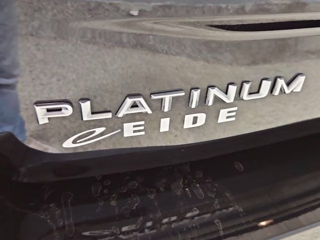 2025 Agate Black Metallic Ford Expedition Max Platinum 4X4 SUV