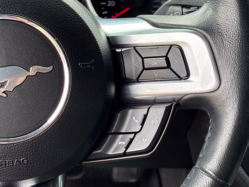2023 Green Metallic Ford Mustang EcoBoost RWD Coupe