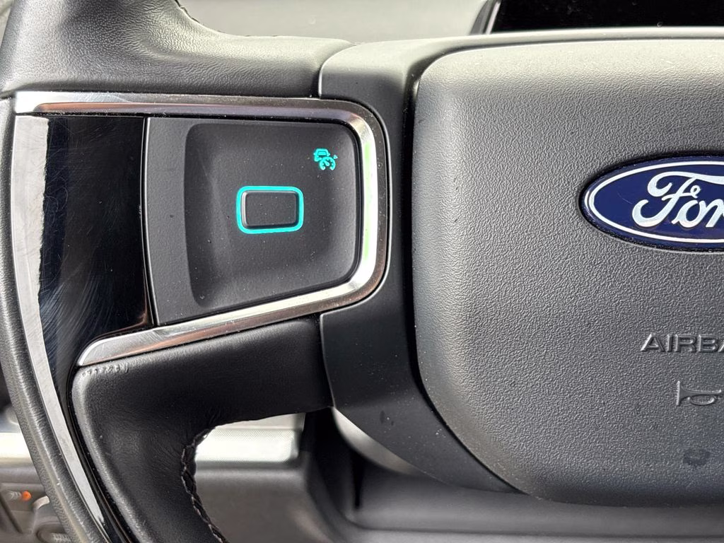 2025 Agate Black Metallic Ford Expedition Platinum 4X4 SUV