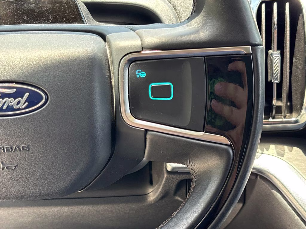 2025 Agate Black Metallic Ford Expedition Platinum 4X4 SUV