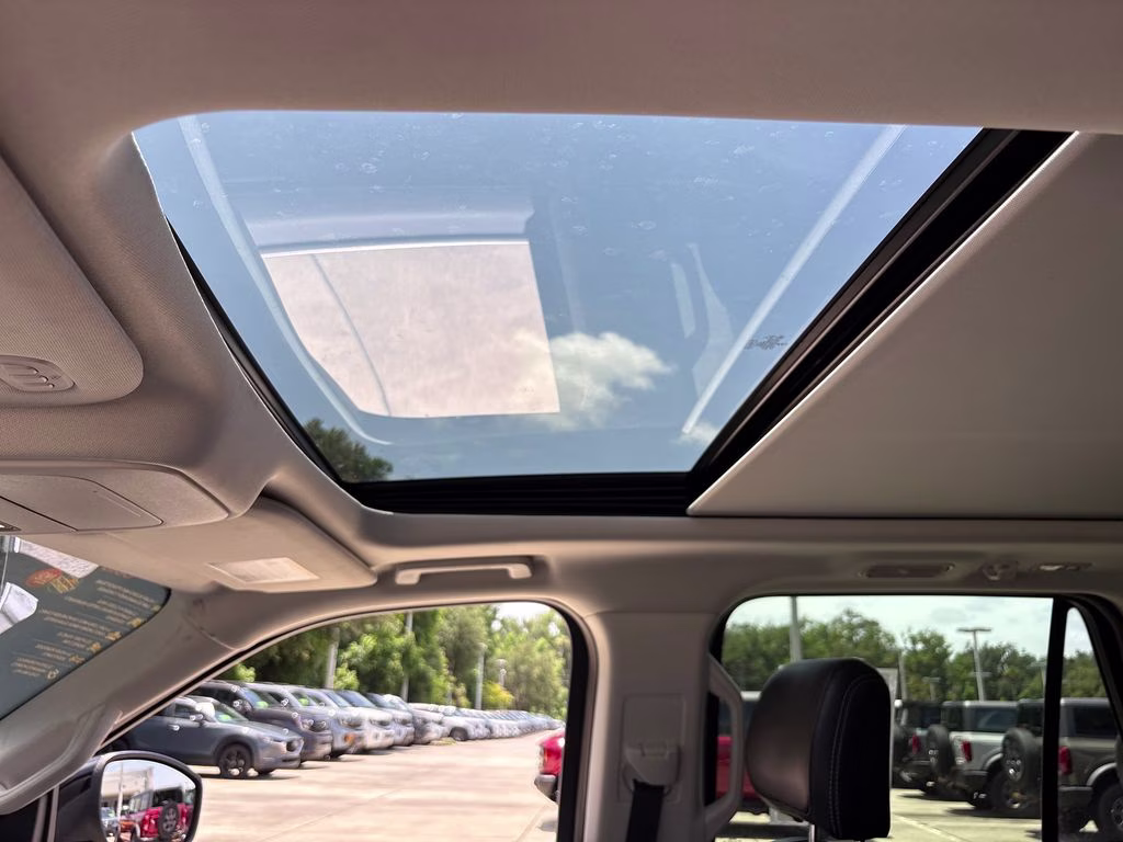 2025 Agate Black Metallic Ford Expedition Platinum 4X4 SUV