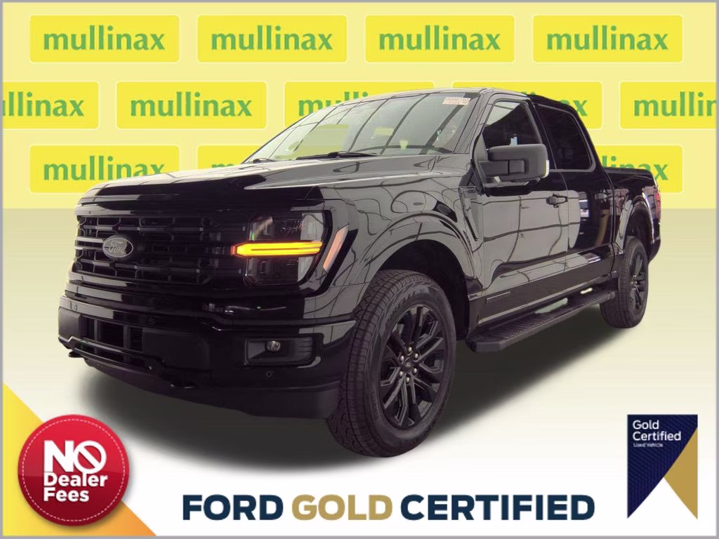 2025 Agate Black Metallic Ford F-150 XLT 4X4 Truck