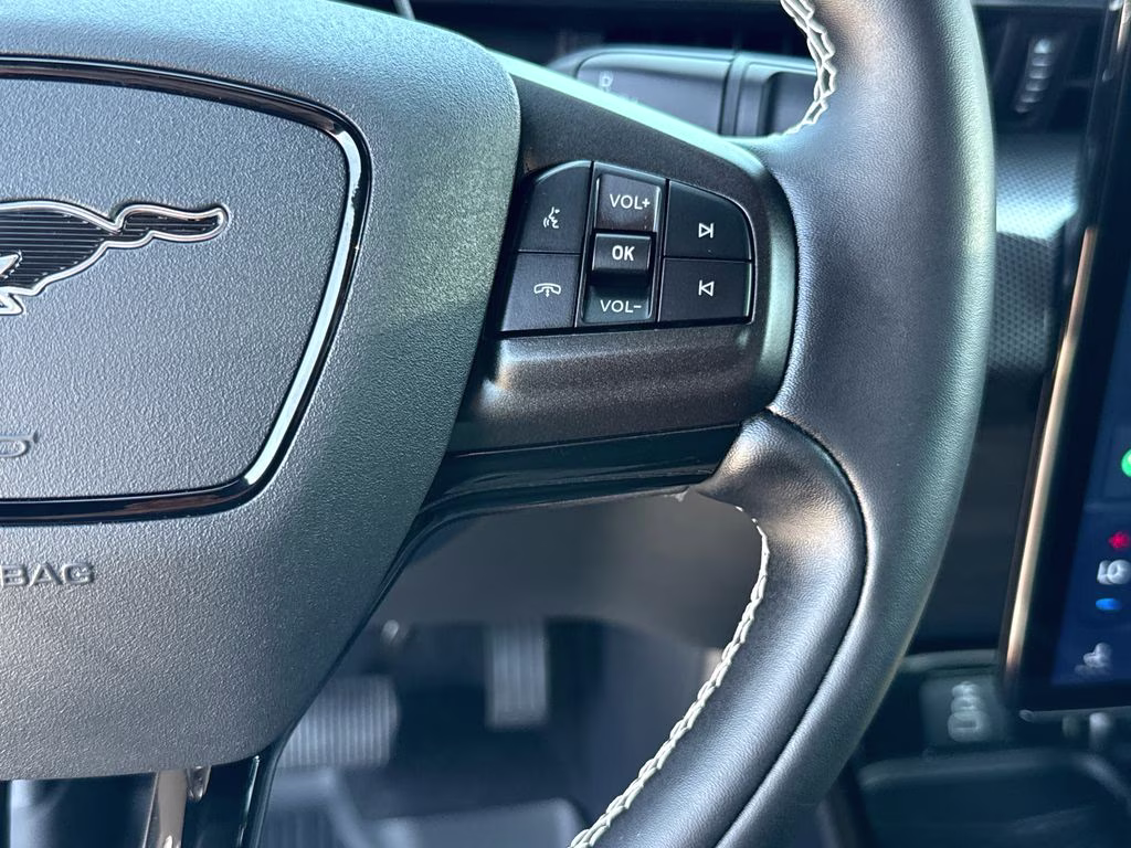 2025 Glacier Gray Met TriCoat Ford Mustang Mach-E GT AWD SUV