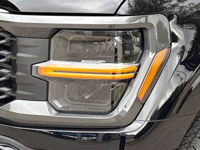 2026 Black Metallic Ford F-150 STX 4X4 Truck