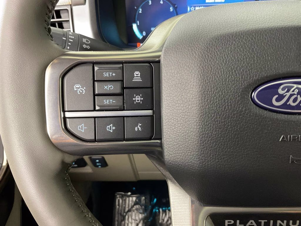 2026 Gray Ford F-150 Platinum 4X4 Truck