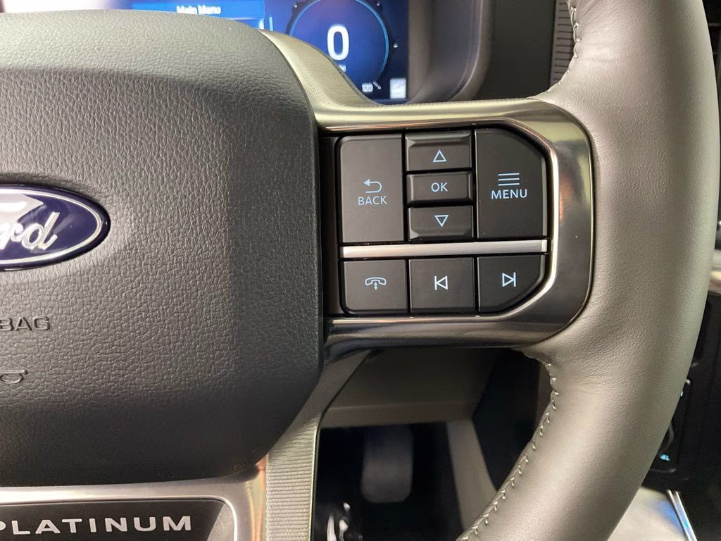 2026 Gray Ford F-150 Platinum 4X4 Truck