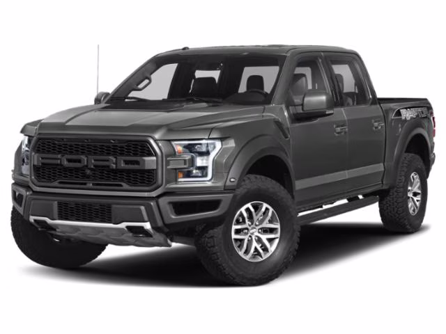 2018 Magnetic Ford F-150 Raptor 4X4 Truck