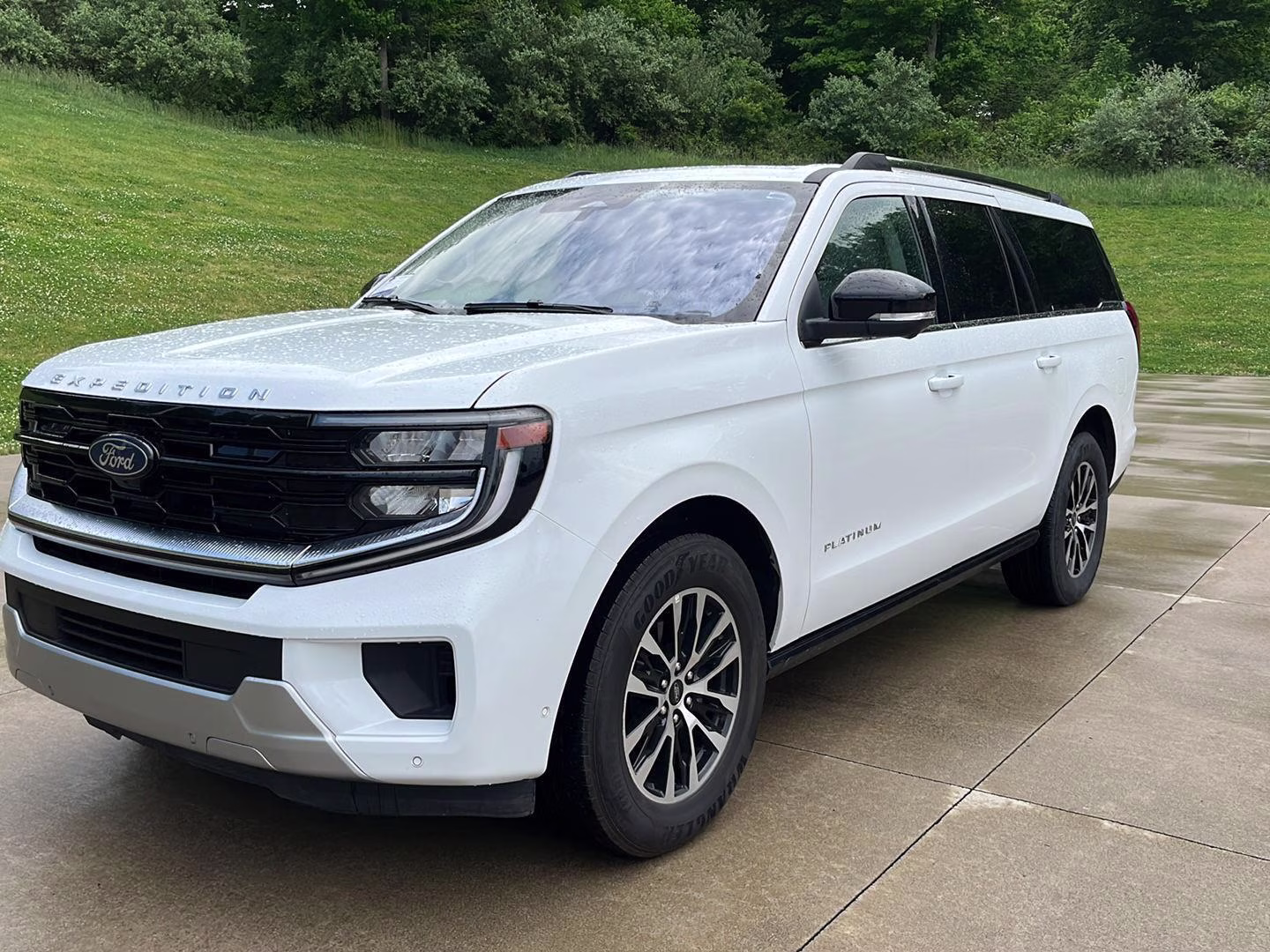 2025 Ford Expedition Platinum MAX 4x4's photo
