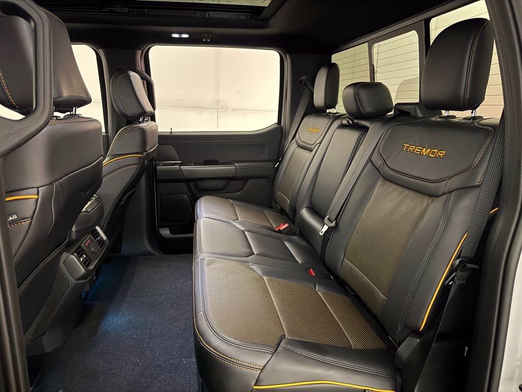 2026 Avalanche Ford F-150 Tremor 4X4 Truck