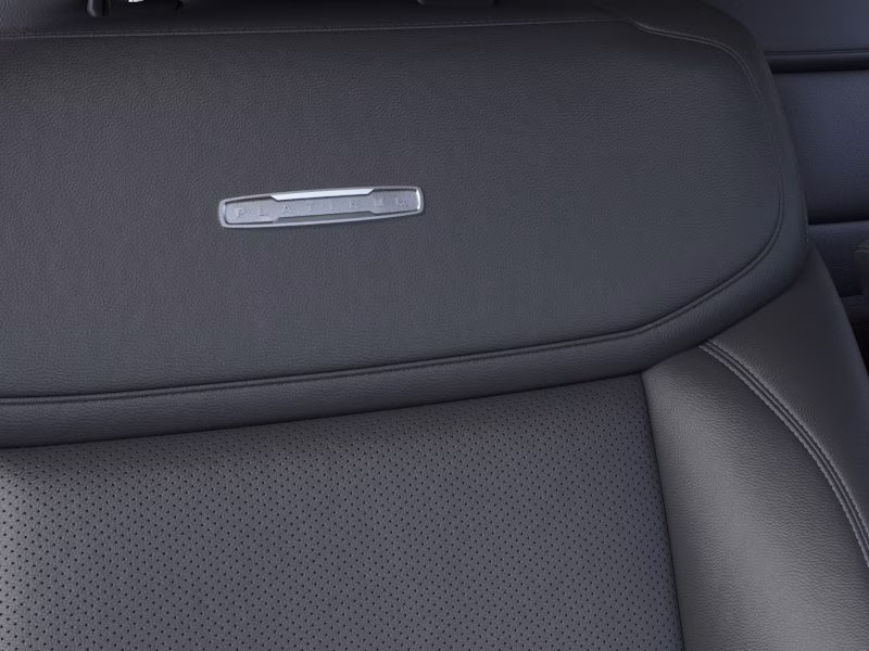 2026 Glacier Gray Metallic Tri-Coat Ford Expedition Platinum 4X4 SUV