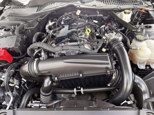 2024 Gray Metallic Ford Mustang EcoBoost Premium RWD Convertible