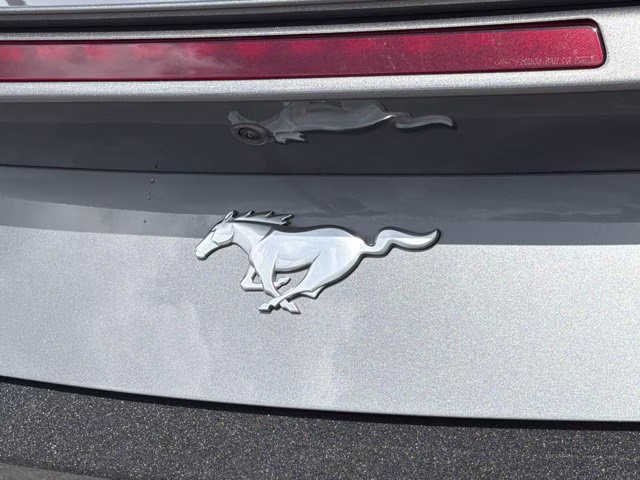 2024 Gray Metallic Ford Mustang EcoBoost Premium RWD Convertible