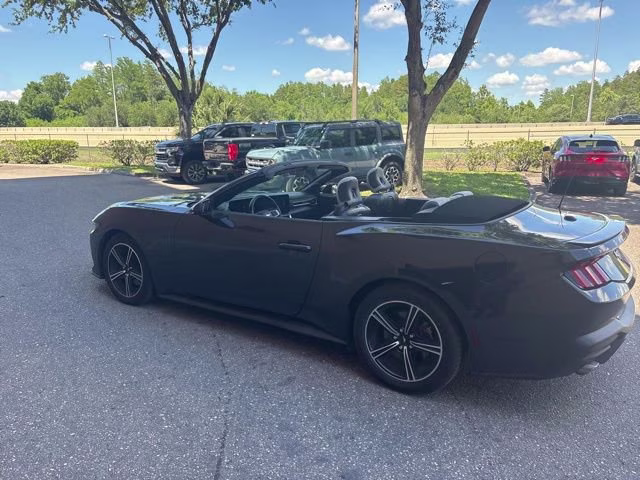 2024 Dark Matter Gray Metallic Ford Mustang EcoBoost Premium RWD Convertible