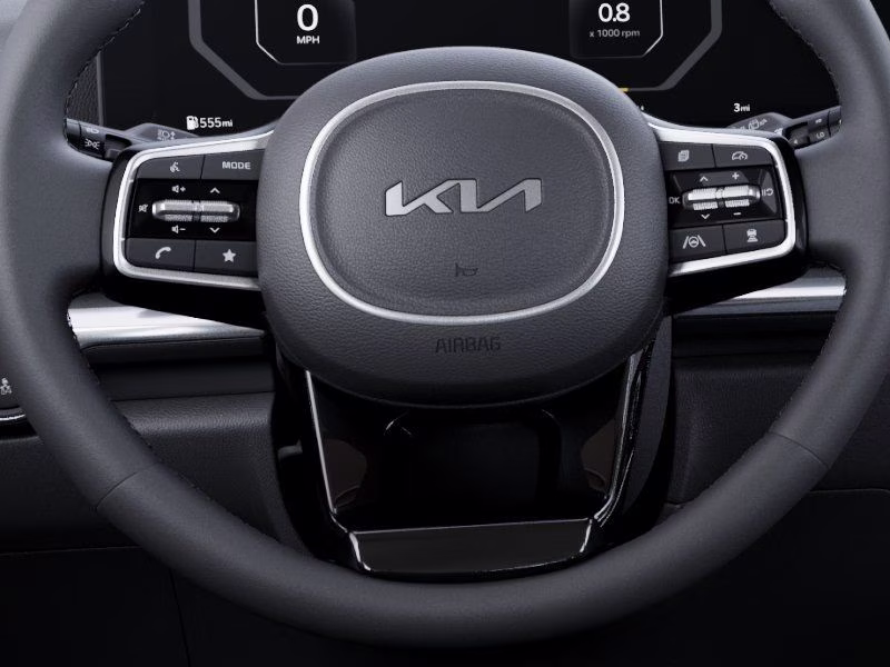 2026 Panthera Metal Kia Carnival Hybrid SX FWD Van