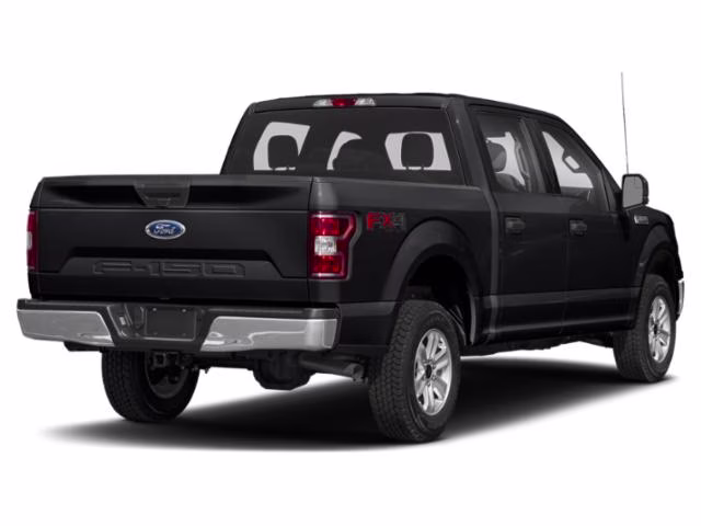 2019 Agate Black Ford F-150 XLT 4X4 Truck