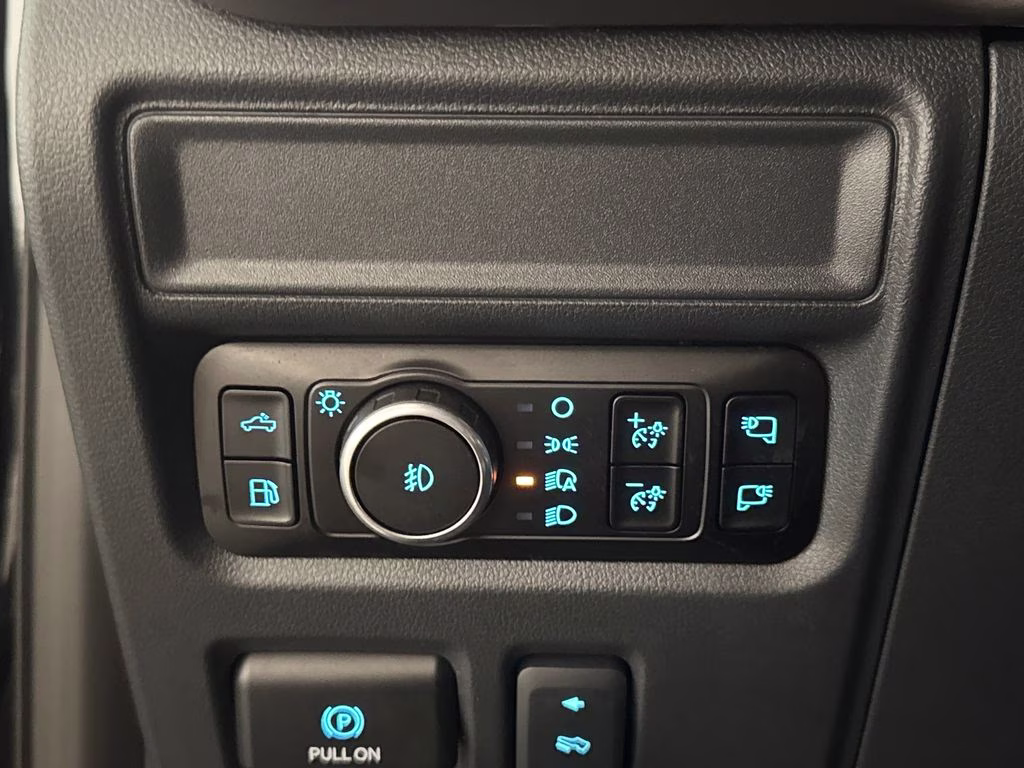 2025 Agate Black Metallic Ford F-150 XLT 4X4 Truck
