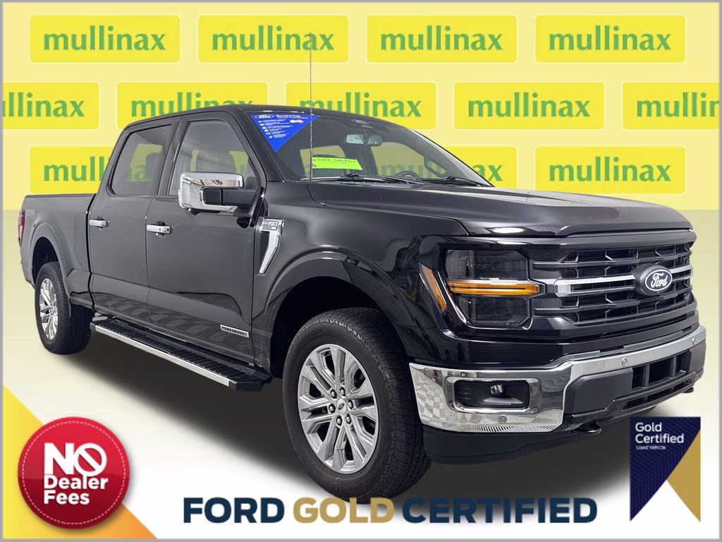 2025 Agate Black Metallic Ford F-150 XLT 4X4 Truck