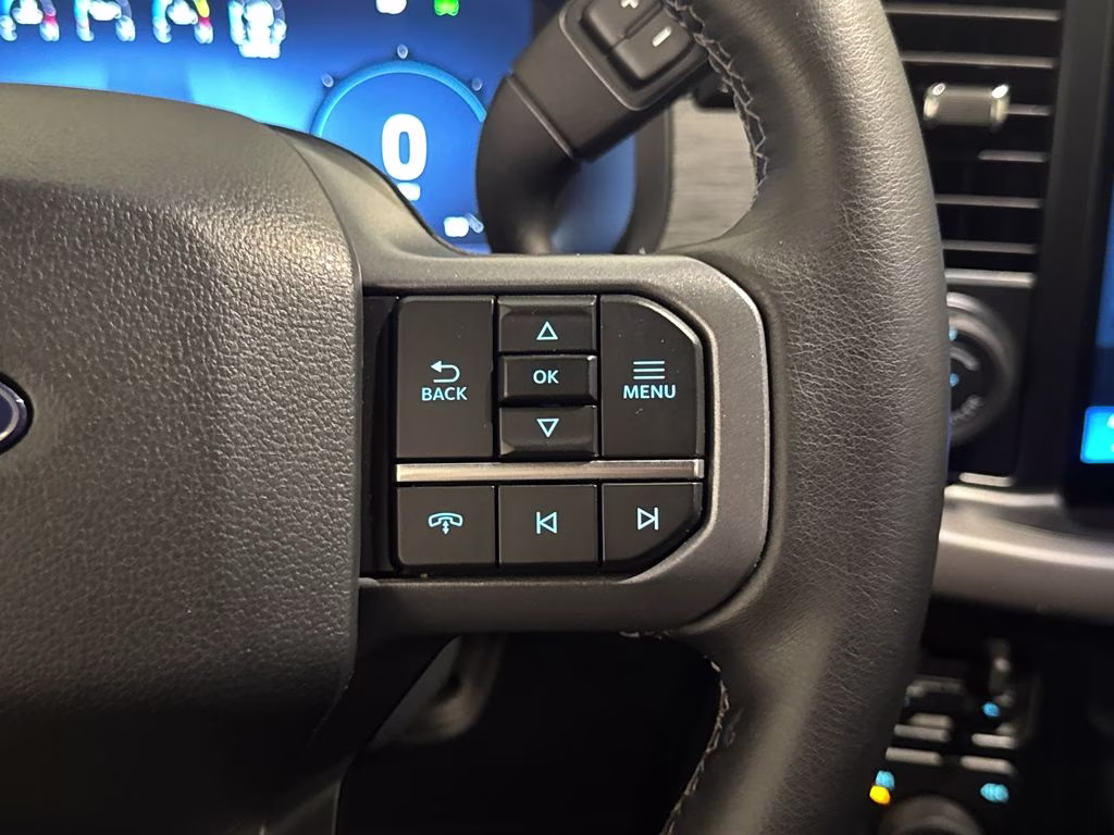 2025 Agate Black Metallic Ford F-150 XLT 4X4 Truck