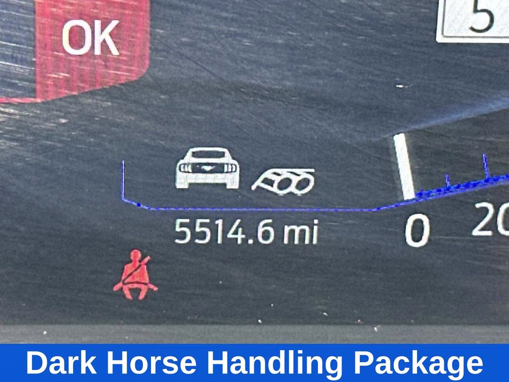 2024 Shadow Black Ford Mustang Dark Horse RWD Coupe