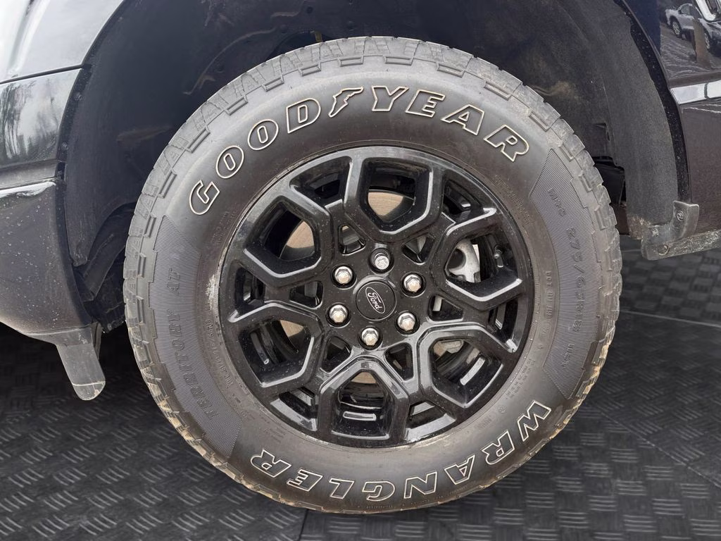 2025 Black Ford F-150 XLT w/Black Sport Appearance & Tow Haul Pkg 4X4 Truck