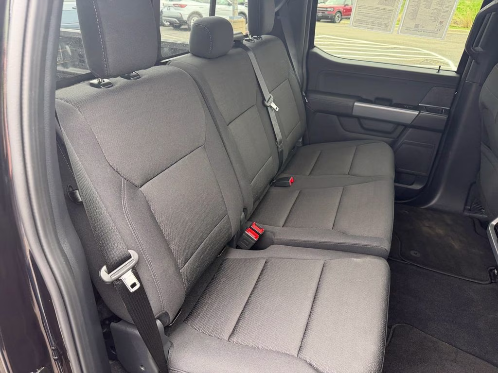 2025 Black Ford F-150 XLT w/Black Sport Appearance & Tow Haul Pkg 4X4 Truck