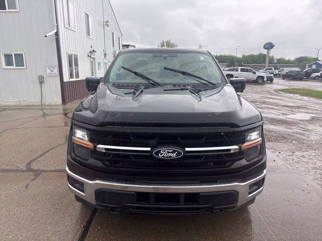 2024 Agate Black Metallic Ford F-150 XLT 4X4 Truck