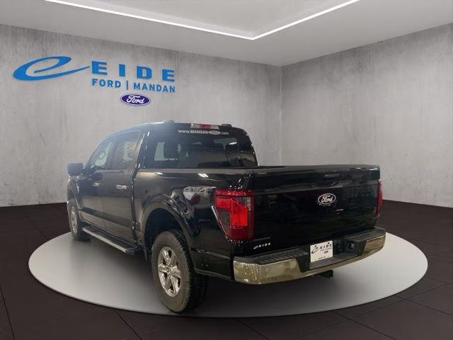 2024 Agate Black Metallic Ford F-150 XLT 4X4 Truck