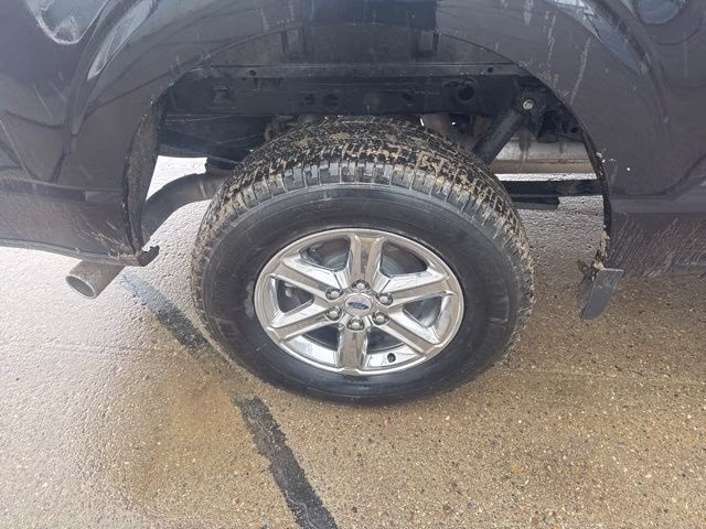2024 Agate Black Metallic Ford F-150 XLT 4X4 Truck