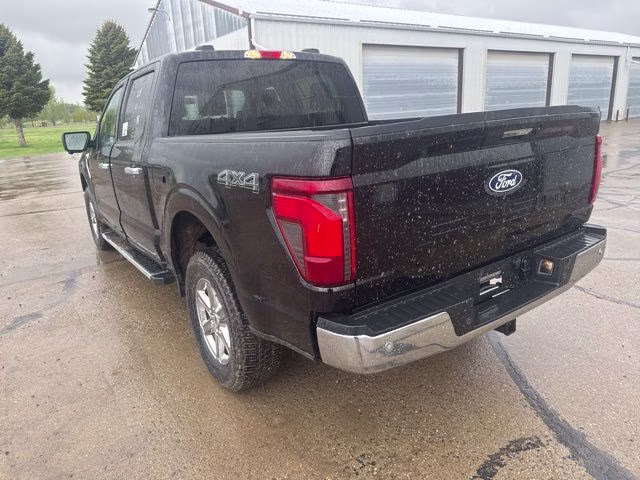 2024 Agate Black Metallic Ford F-150 XLT 4X4 Truck