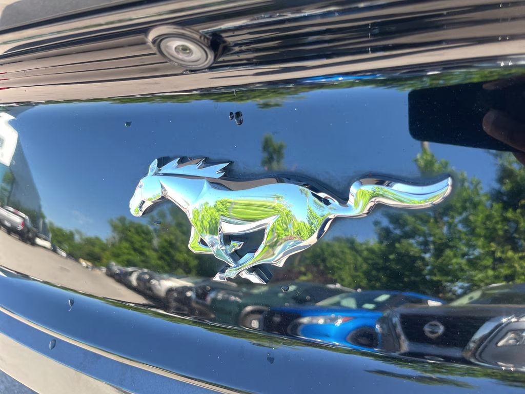 2017 Magnetic Ford Mustang EcoBoost RWD Coupe