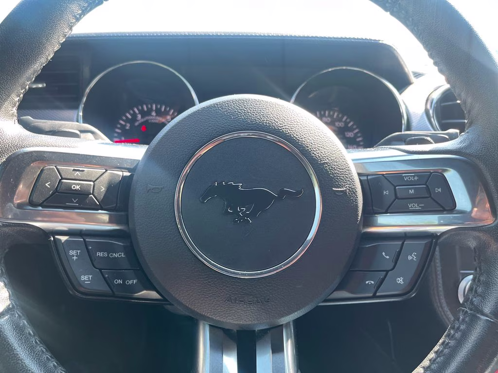 2017 Magnetic Ford Mustang EcoBoost RWD Coupe