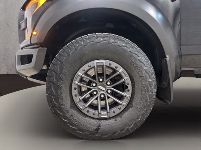 2019 Agate Black Metallic Ford F-150 Raptor 4X4 Truck