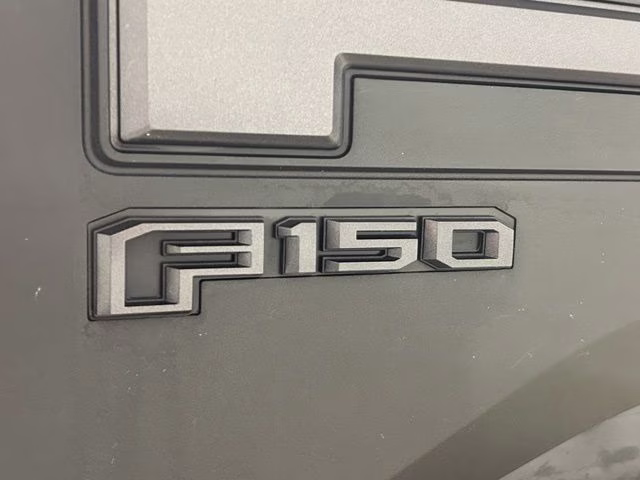 2019 Agate Black Metallic Ford F-150 Raptor 4X4 Truck
