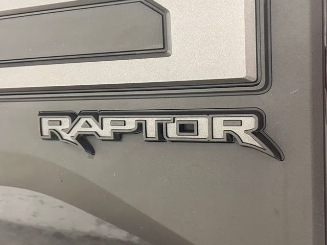 2019 Agate Black Metallic Ford F-150 Raptor 4X4 Truck