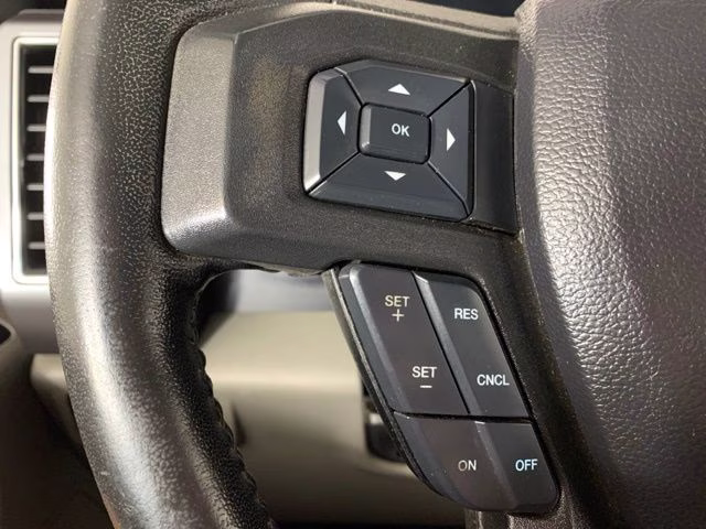 2019 Ruby Red Metallic Tinted Clearcoat Ford F-150 XLT 4X4 Truck