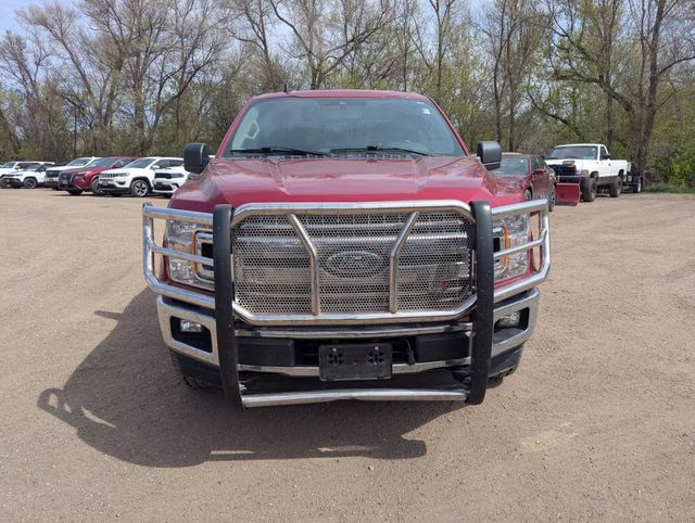 2019 Ruby Red Metallic Tinted Clearcoat Ford F-150 XLT 4X4 Truck