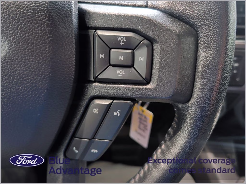 2019 Velocity Blue Metallic Ford F-150 XLT 4X4 Truck